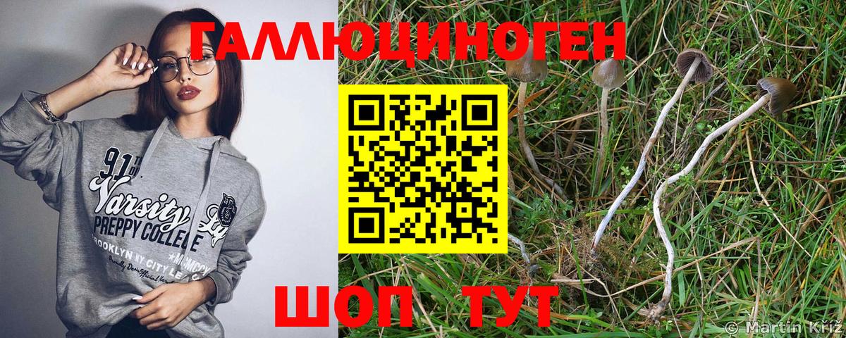 магазин  наркотиков  Вход с VPN  Учалы  Галлюциногенные грибы прущие грибы 